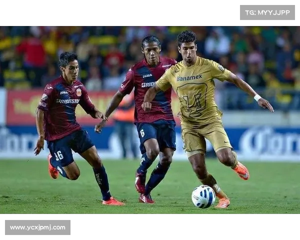 从赛制到参赛队伍,深度解析美国足球美冠杯赛事级别及竞争水平