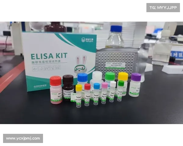 打造盈利模式的足球俱乐部财务管理七大核心策略解析 打造盈利模式的足球俱乐部财务管理七大核心策略解析