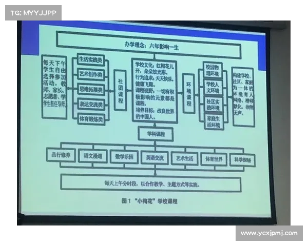 提升球迷体验促进体育产业收入增长的新路径探讨与实践